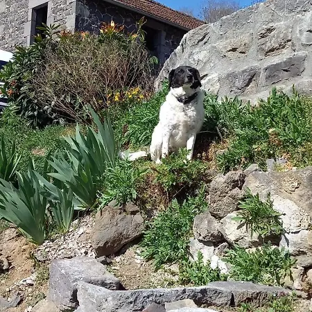 La Maison Volcanique * Fontfreide